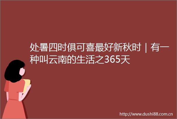 处暑四时俱可喜最好新秋时｜有一种叫云南的生活之365天