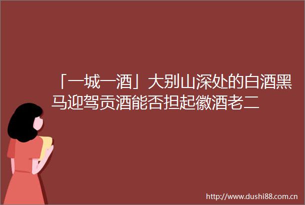 「一城一酒」大别山深处的白酒黑马迎驾贡酒能否担起徽酒老二
