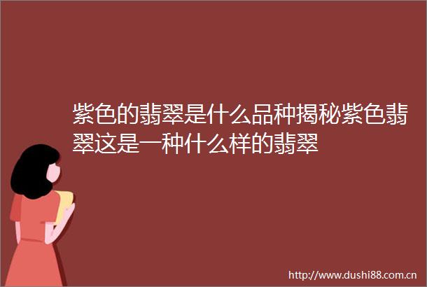 紫色的翡翠是什么品种揭秘紫色翡翠这是一种什么样的翡翠