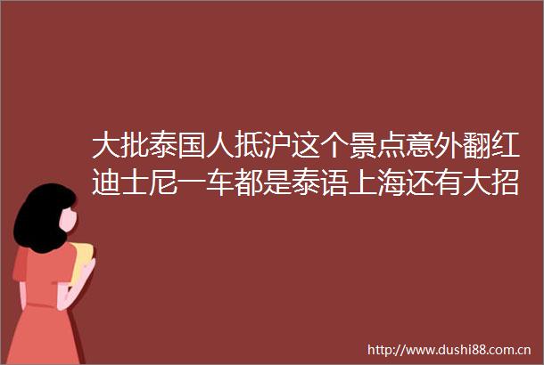 大批泰国人抵沪这个景点意外翻红迪士尼一车都是泰语上海还有大招邀约全球
