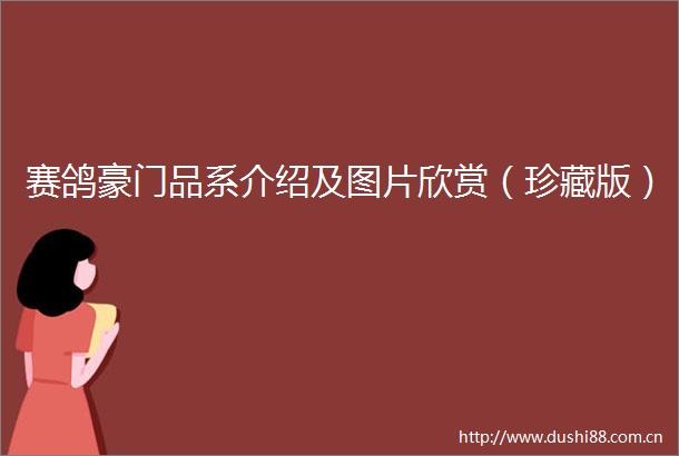 赛鸽豪门品系介绍及图片欣赏（珍藏版）