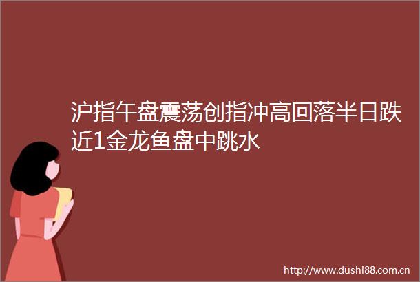 沪指午盘震荡创指冲高回落半日跌近1金龙鱼盘中跳水