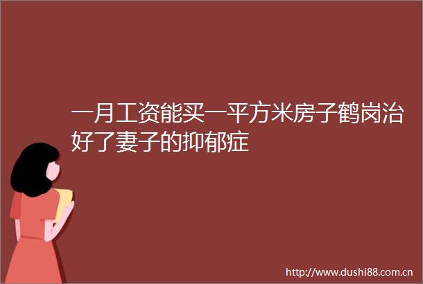 一月工资能买一平方米房子鹤岗治好了妻子的抑郁症