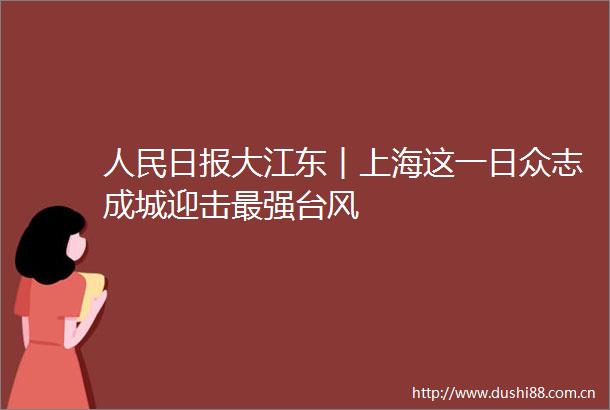 日报大江东︱上海这一日众志成城迎击最强台风