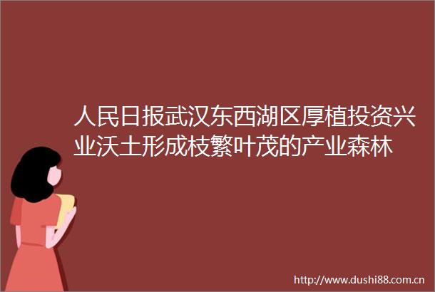 日报武汉东西湖区厚植投资兴业沃土形成枝繁叶茂的产业森林