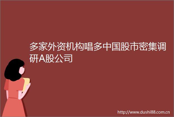 多家外资机构唱多股市密集调研A股公司