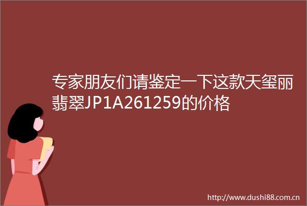 专家朋友们请鉴定一下这款天玺丽翡翠JP1A261259的价格谢