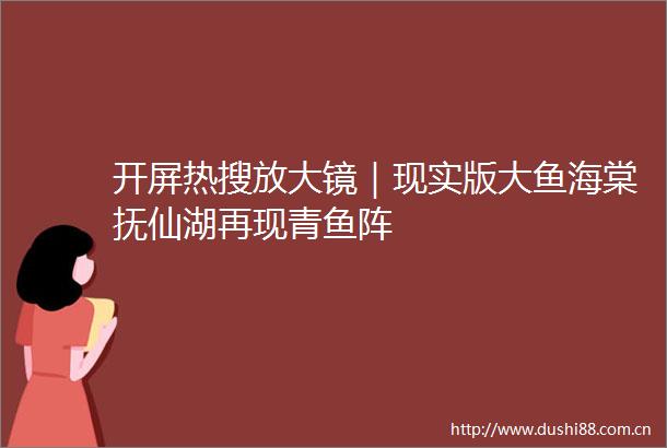开屏热搜放大镜｜现实版大鱼海棠抚仙湖再现青鱼阵
