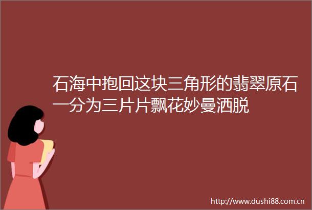 石海中抱回这块三角形的翡翠原石一分为三片片飘花妙曼洒脱