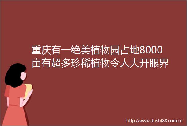重庆有一绝美植物园占地8000亩有超多珍稀植物令人大开眼界