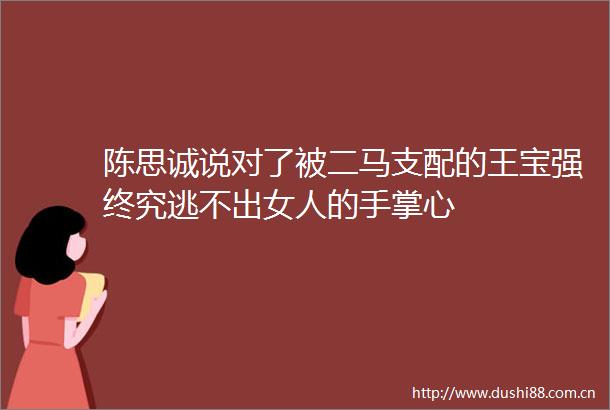 陈思诚说对了被二马支配的王宝强终究逃不出女人的手掌心