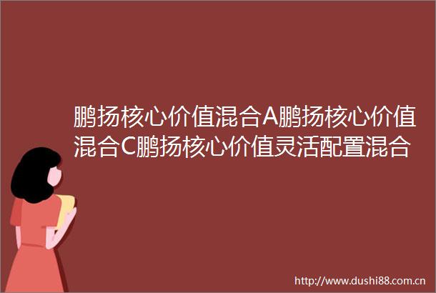 鹏扬核心价值混合A鹏扬核心价值混合C鹏扬核心价值灵活配置混合型证券投资基金更新的招募说明书2025年第1号