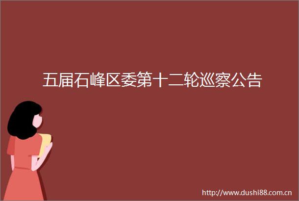 五届石峰区委第十二轮巡察公告