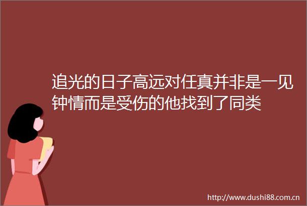 追光的日子高远对任真并非是一见钟情而是受伤的他找到了同类