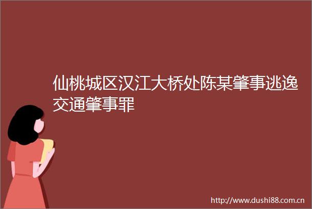 仙桃城区汉江大桥处陈某肇事逃逸交通肇事罪