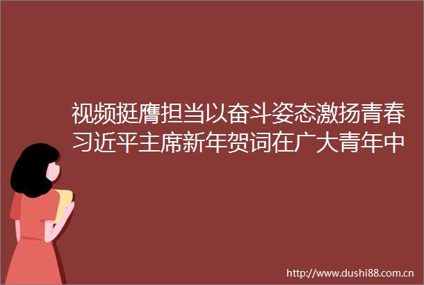 视频挺膺担当以奋斗姿态激扬青春新年贺词在广大青年中引发强烈反响
