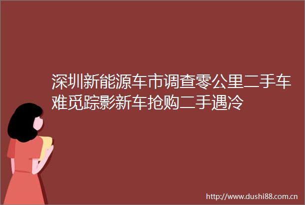 深圳新能源车市调查零公里二手车难觅踪影新车抢购二手遇冷