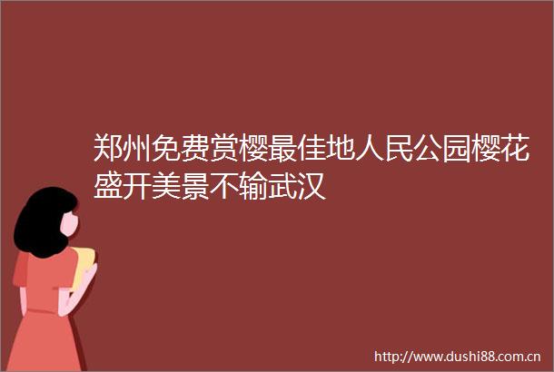 郑州免费赏樱最佳地公园樱花盛开美景不输武汉