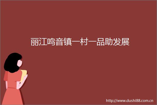 丽江鸣音镇一村一品助发展