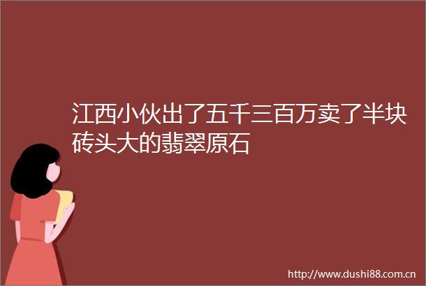 江西小伙出了五千三百万卖了半块砖头大的翡翠原石