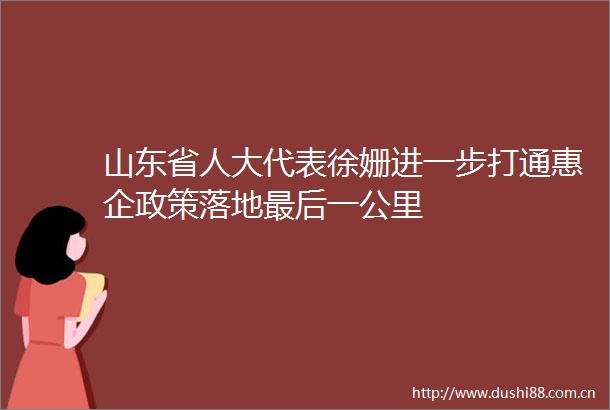 山东省人大代表徐姗进一步打通惠企政策落地最后一公里