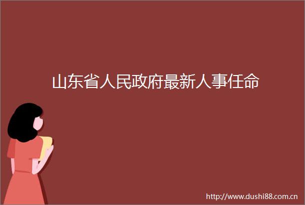 山东省最新人事任命