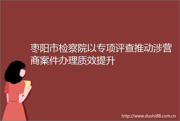 枣阳市检察院以专项评查推动涉营商案件办理质效提升