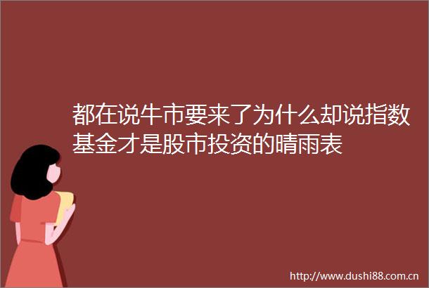 都在说牛市要来了为什么却说指数基金才是股市投资的晴雨表