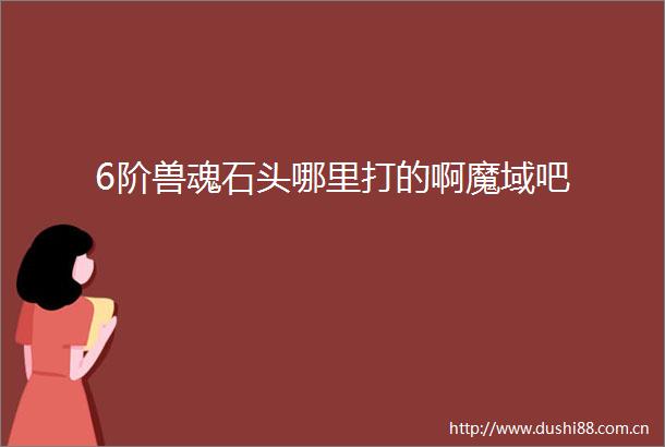 6阶兽魂石头哪里打的啊魔域吧