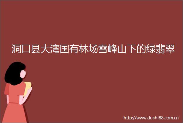 洞口县大湾国有林场雪峰山下的绿翡翠