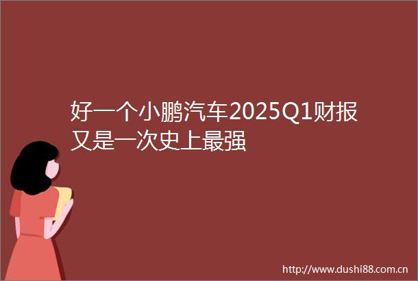 好一个小鹏汽车2025Q1财报又是一次史上最强