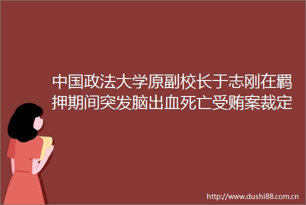 政法大学原副校长于志刚在羁押期间突发脑出血死亡案裁定终止审理