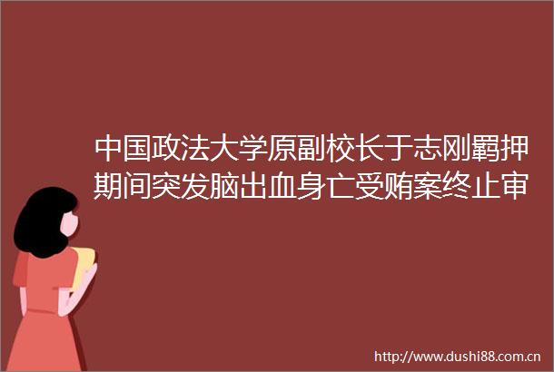 政法大学原副校长于志刚羁押期间突发脑出血身亡案终止审理