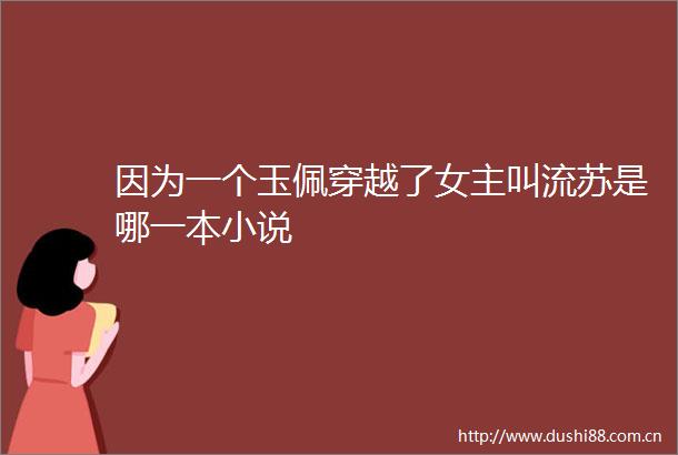 因为一个玉佩穿越了女主叫流苏是哪一本小说