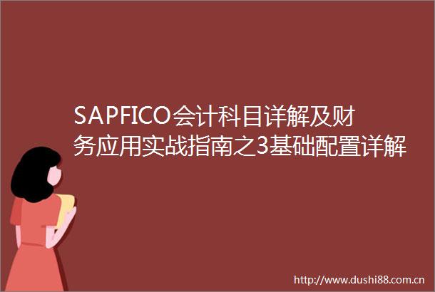 SAPFICO会计科目详解及财务应用实战指南之3基础配置详解三