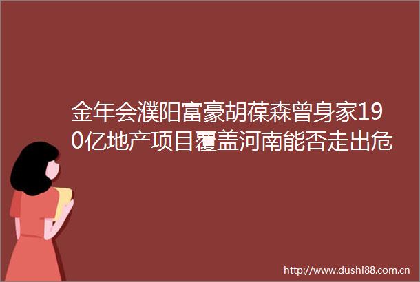 金年会濮阳富豪胡葆森曾身家190亿地产项目覆盖河南能否走出危机