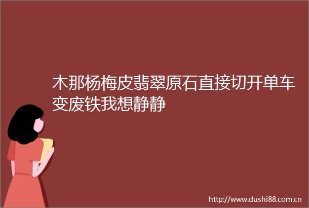 木那杨梅皮翡翠原石直接切开单车变废铁我想静静