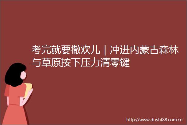 考完就要撒欢儿｜冲进内蒙古森林与草原按下压力清零键