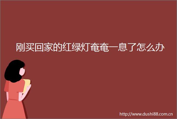 刚买回家的红绿灯奄奄一息了怎么办
