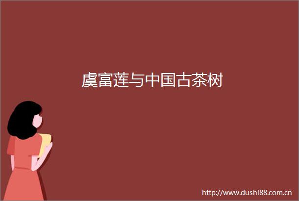 虞富莲与古茶树