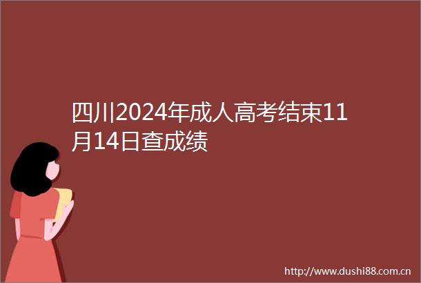 四川2024年成人高考结束11月14日查成绩