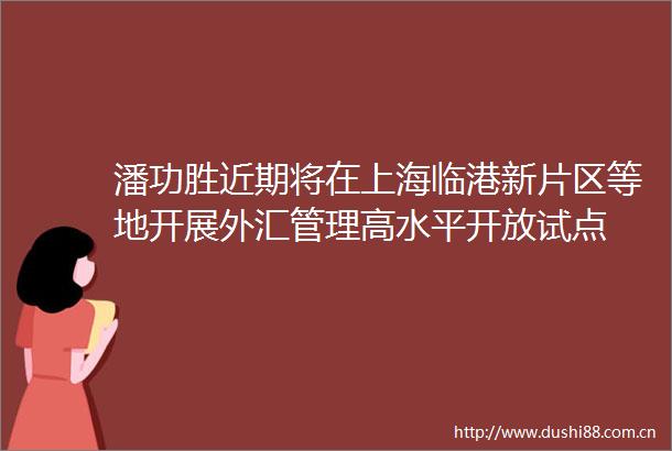 潘功胜近期将在上海临港新片区等地开展外汇管理高水平开放试点