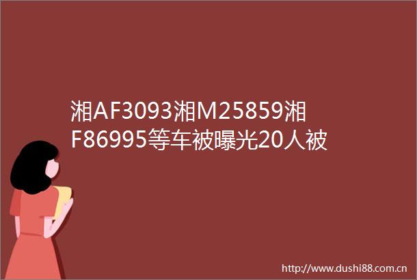 湘AF3093湘M25859湘F86995等车被20人被终生禁驾