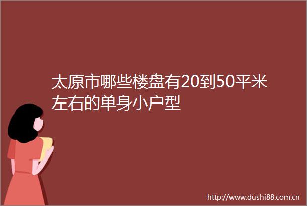 太原市哪些楼盘有20到50平米左右的单身小户型