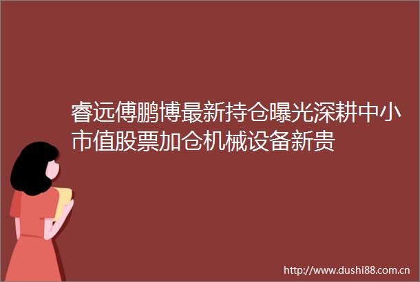 睿远傅鹏博最新持仓深耕中小市值股票加仓机械设备新贵