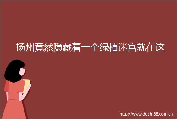 扬州竟然隐藏着一个绿植迷宫就在这