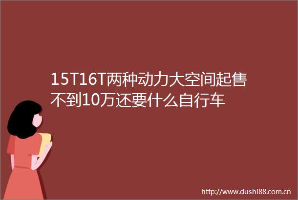 15T16T两种动力大空间起售不到10万还要什么自行车