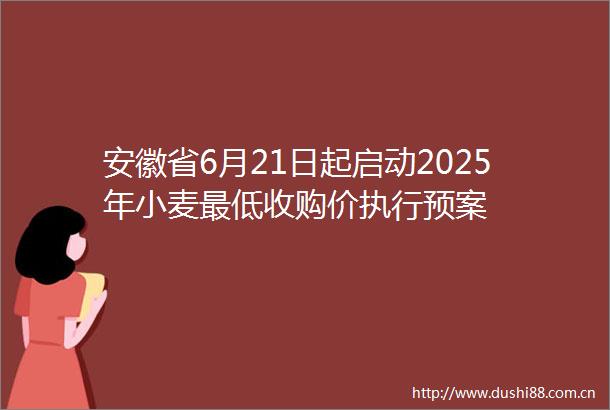安徽省6月21日起启动2025年小麦最低收购价执行预案