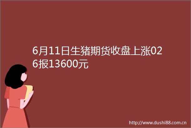 6月11日生猪期货收盘上涨026报13600元