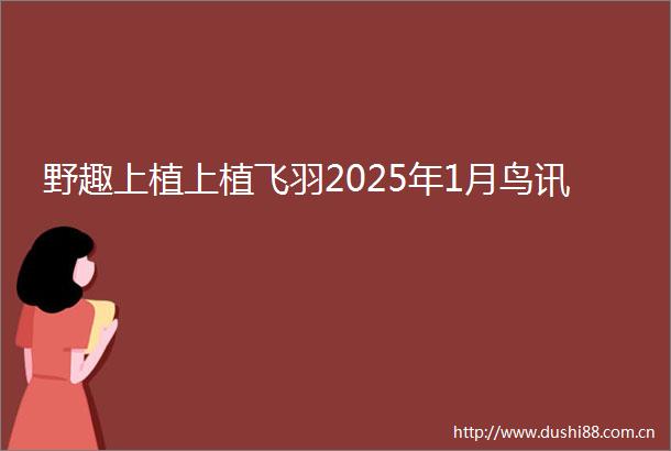 野趣上植上植飞羽2025年1月鸟讯
